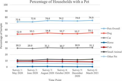 Longitudinal patterns of companion animals in families with children during the COVID-19 pandemic: Findings from the Adolescent Brain Cognitive Development (ABCD) Study®